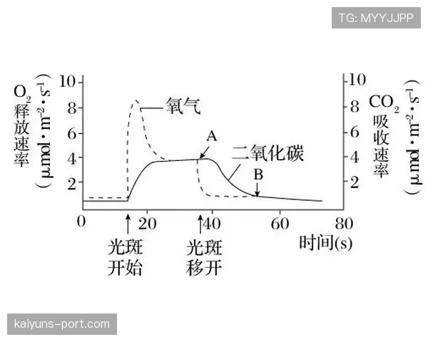 波黑B组进攻表现：末轮三球释放压力